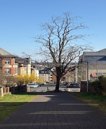 Giessen’de Gezilecek Yerler